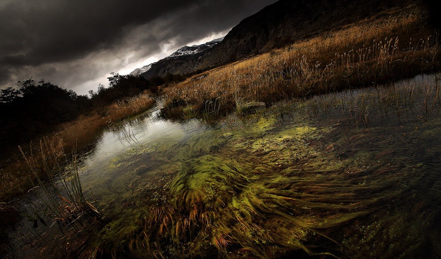 dead_marshes_by_autumn_ethereal-d3i7jap