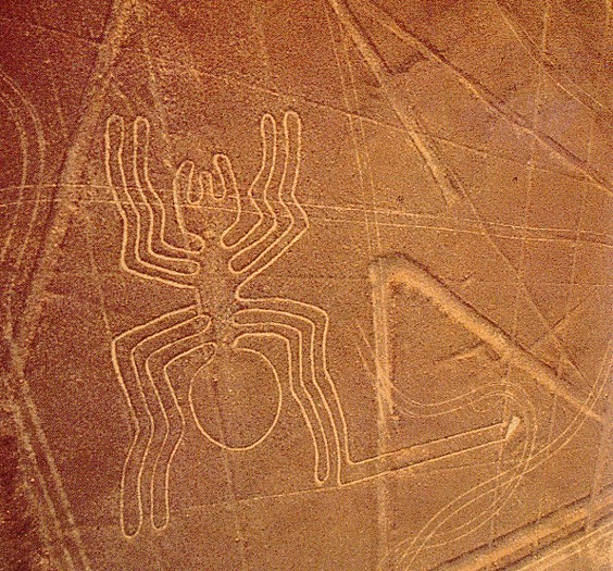 Το γεωγλυφικό της αράχνης, Peru